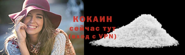 шишки Армянск