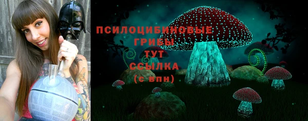 шишки Армянск