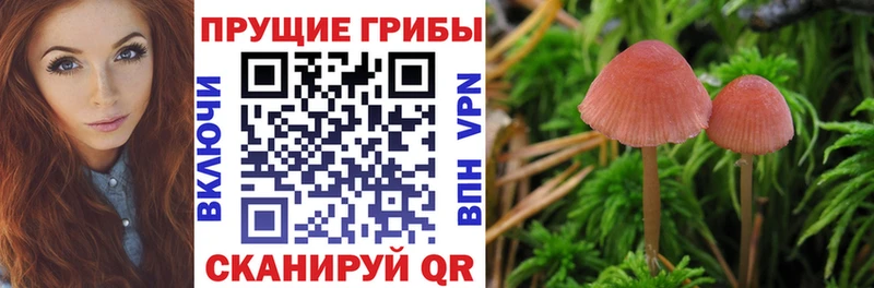 Псилоцибиновые грибы MAGIC MUSHROOMS Кирово-Чепецк